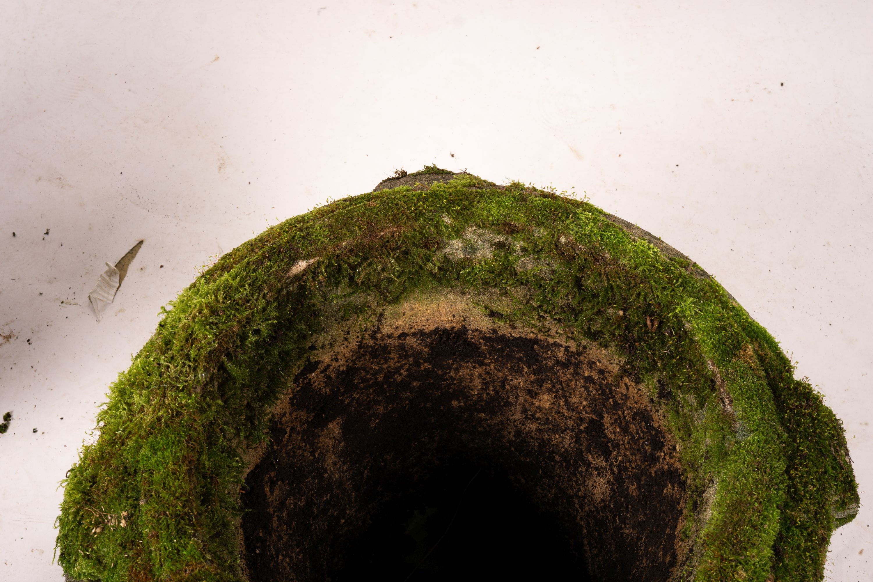 Three weathered reconstituted stone circular garden planters, largest Diam.52cm H.34cm